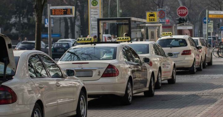 File de taxis blancs garés à une station avec leurs toits illuminés, arbres nus en arrière-plan